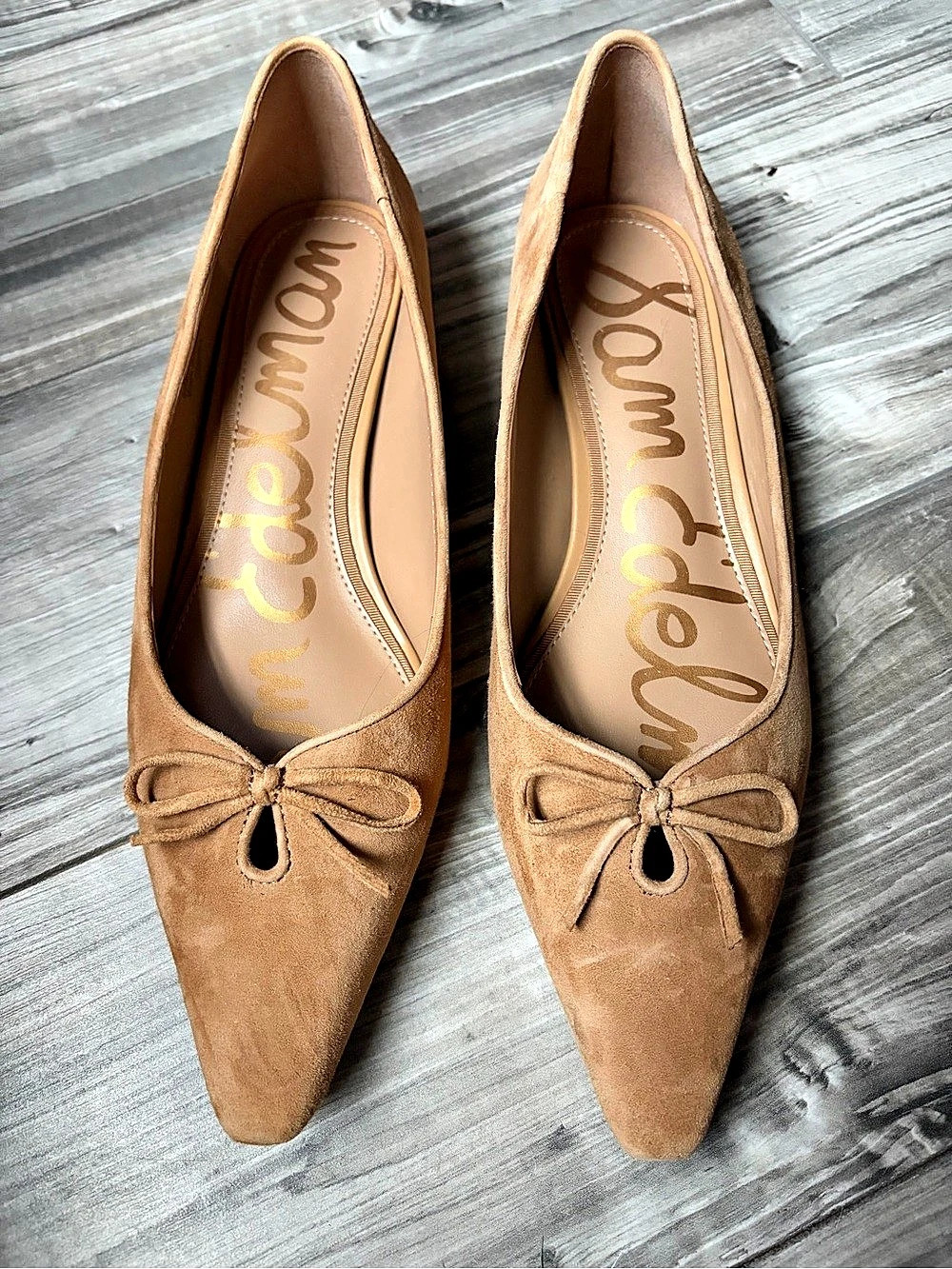 Sam Edelman Esmira Pointed Toe Ballet Flats Brown